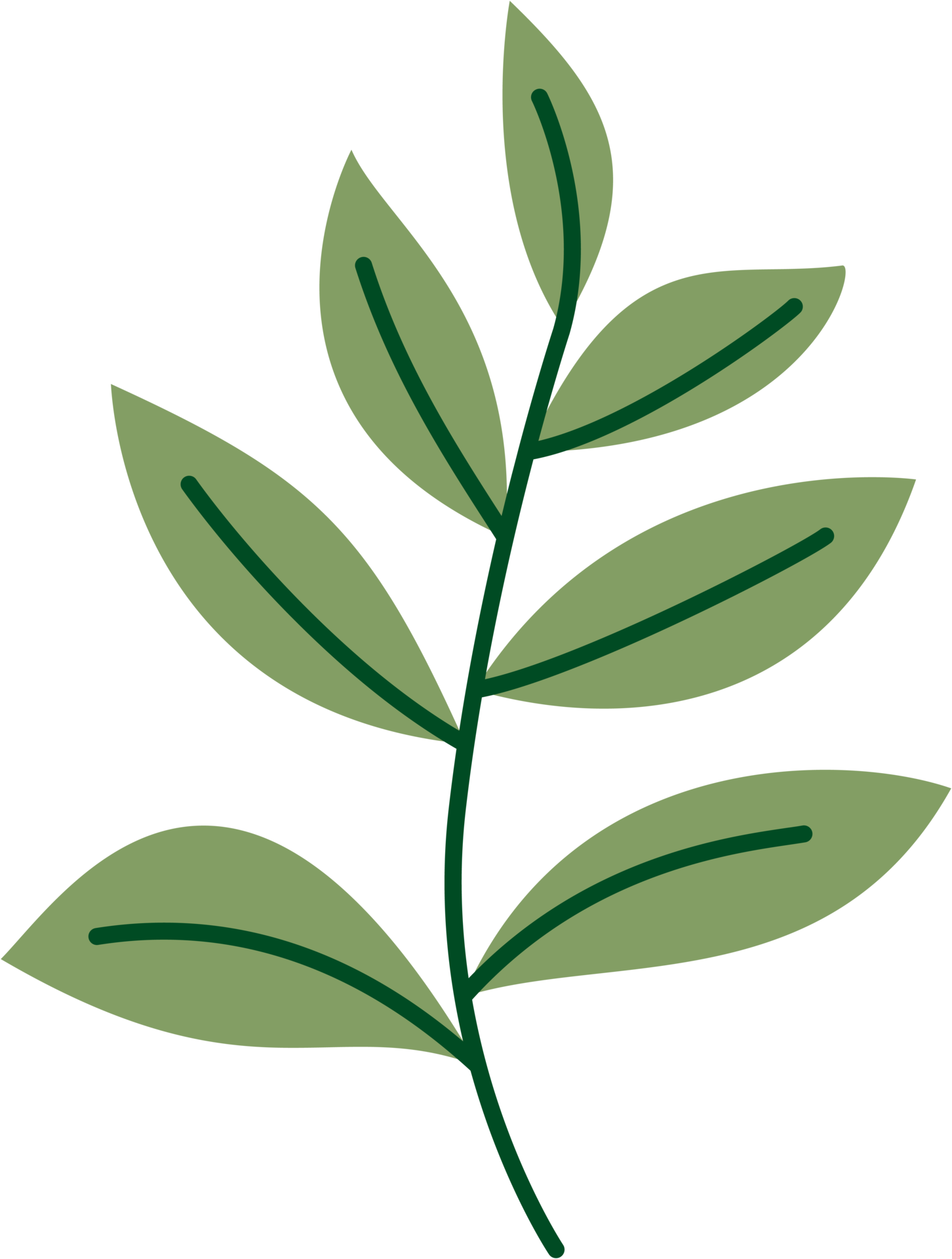 feuille