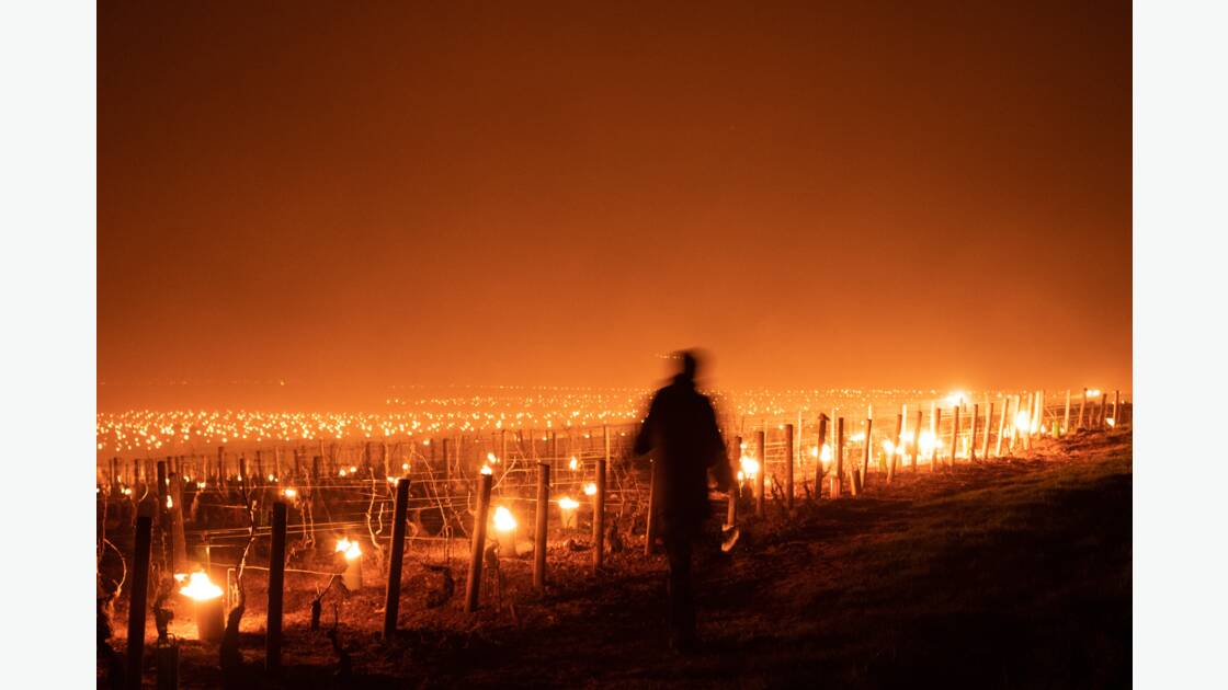Prix du jury : " Les ombres de la Côte-d'Or " par Thomas Derycke.